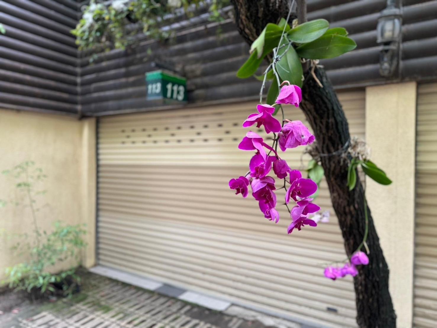 Ivy Motel นครเจียอี้ ภายนอก รูปภาพ