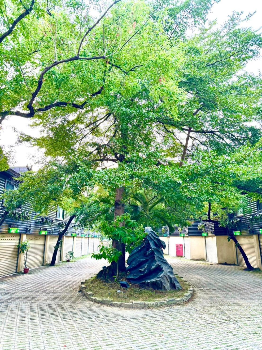 Ivy Motel นครเจียอี้ ภายนอก รูปภาพ